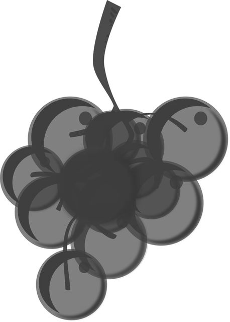 0.1-1554358950-sys2WHEEL_logo.jpg